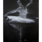Ballerina No. 4, Series XV